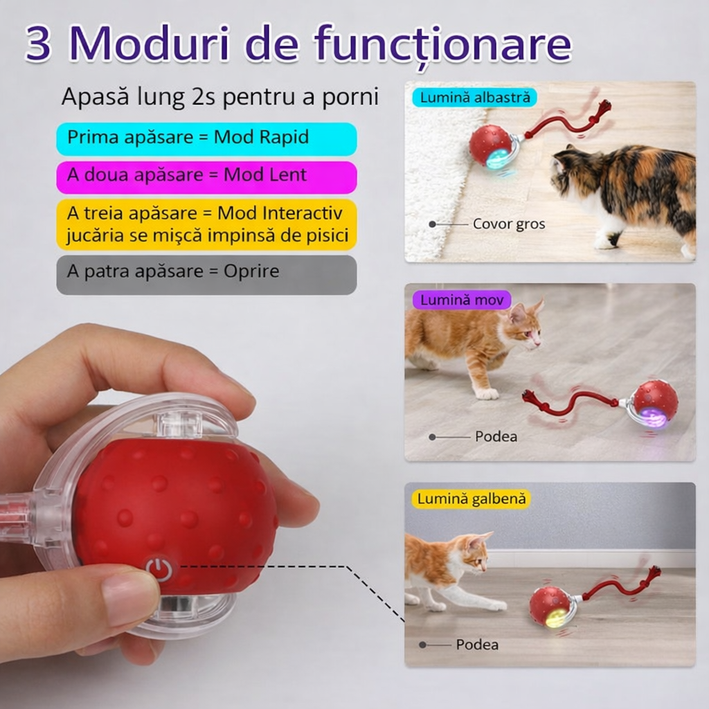 Jucărie Interactivă Pisici