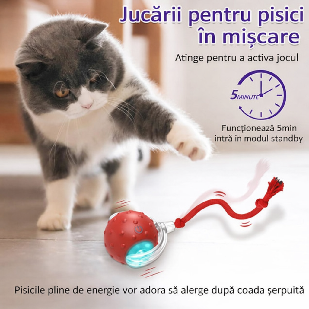 Jucărie Interactivă Pisici