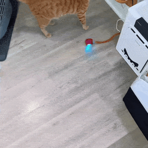 Jucărie Interactivă Pisici